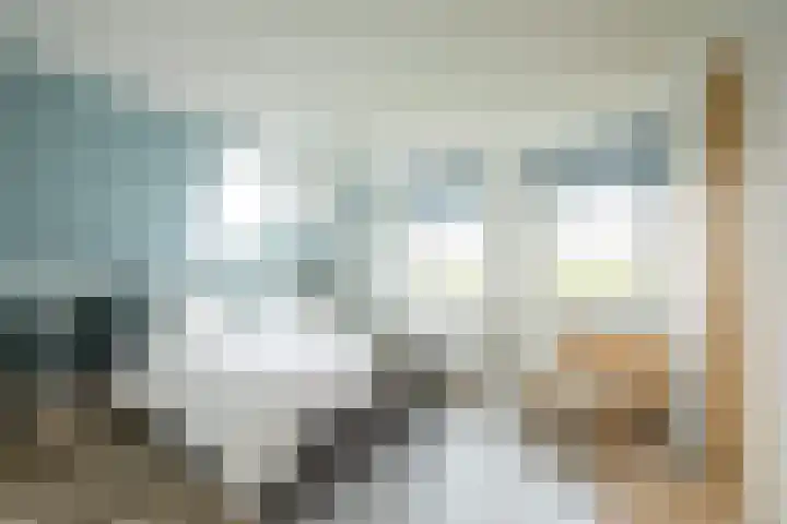 Waubertstrjitte 29 Parrega thumbnail 17