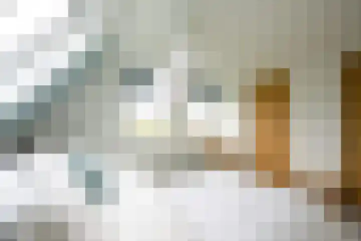 Waubertstrjitte 29 Parrega thumbnail 18
