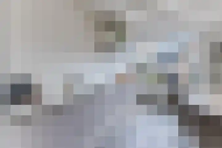 Waubertstrjitte 29 Parrega thumbnail 20
