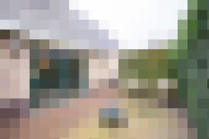 Waubertstrjitte 29 Parrega thumbnail 32