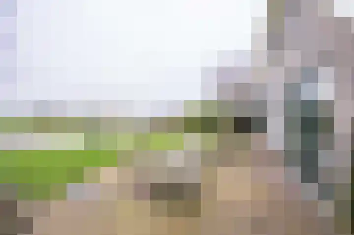 Waubertstrjitte 29 Parrega thumbnail 33