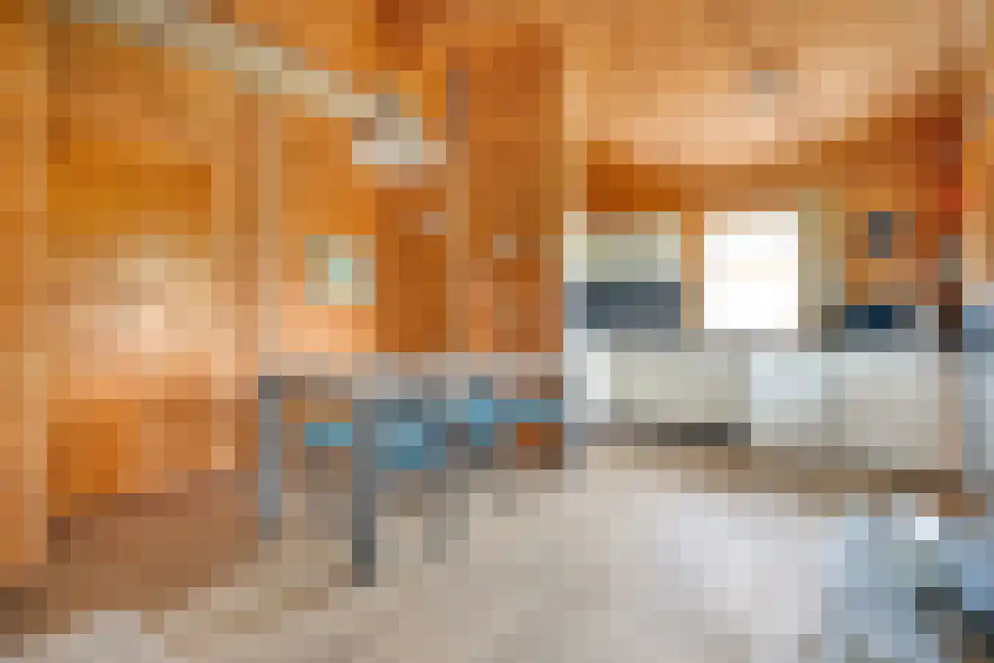 Waubertstrjitte 29 Parrega thumbnail 5