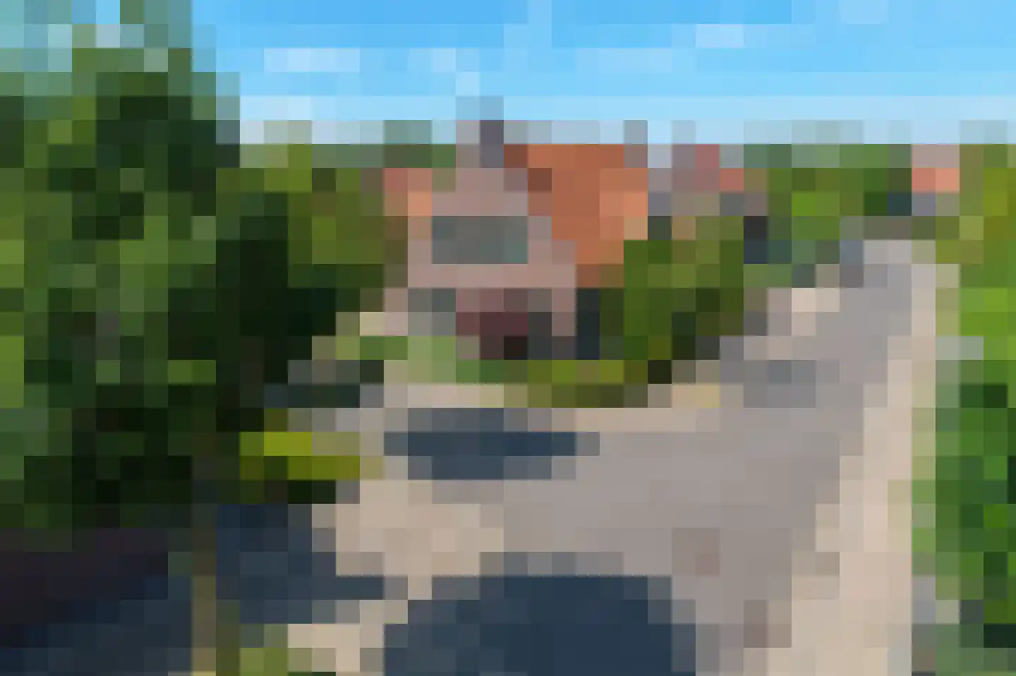 Wautgershoeve 11 Helmond thumbnail 62