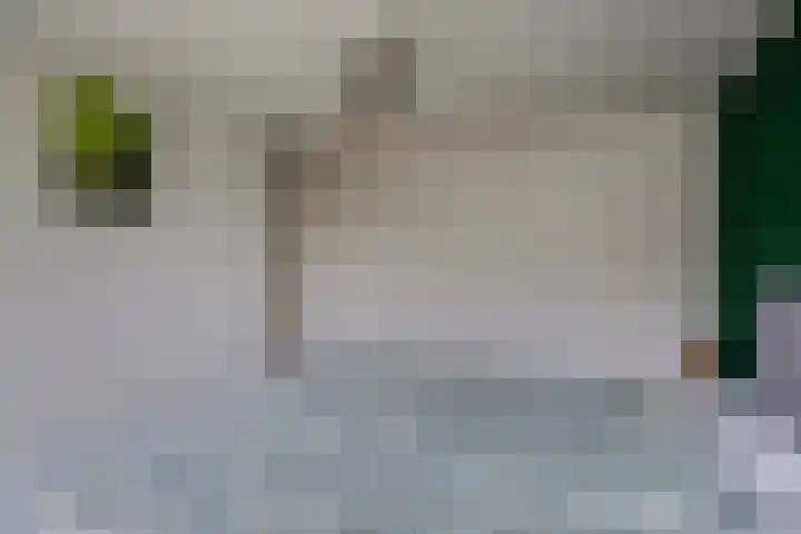 Waver 1 Zwolle thumbnail 20