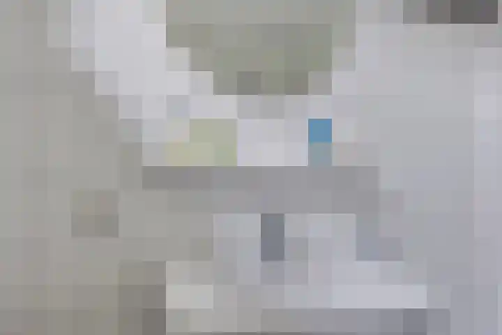 Waver 1 Zwolle thumbnail 23