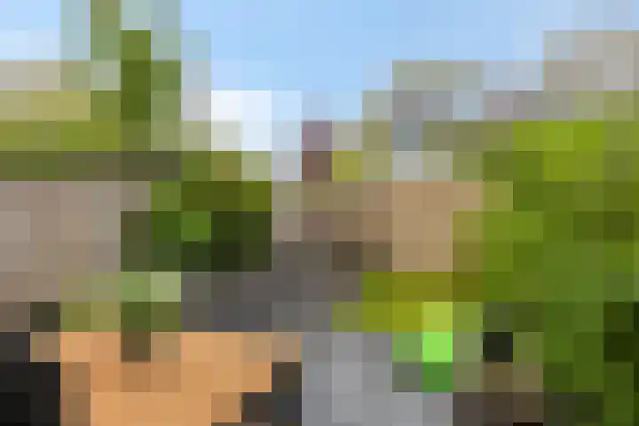 Waver 1 Zwolle thumbnail 31