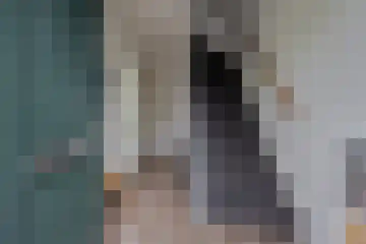 Waver 1 Zwolle thumbnail 5