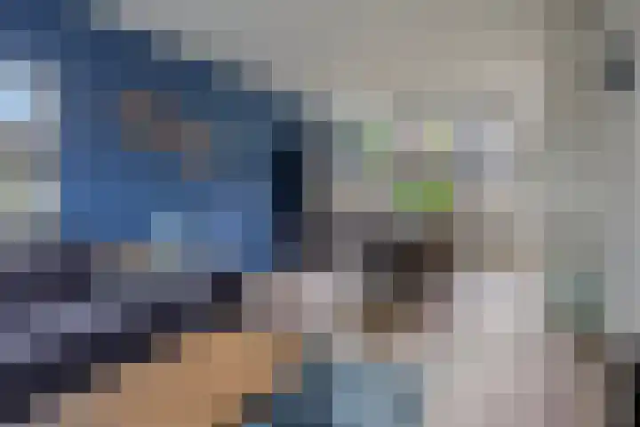 Waver 1 Zwolle thumbnail 9