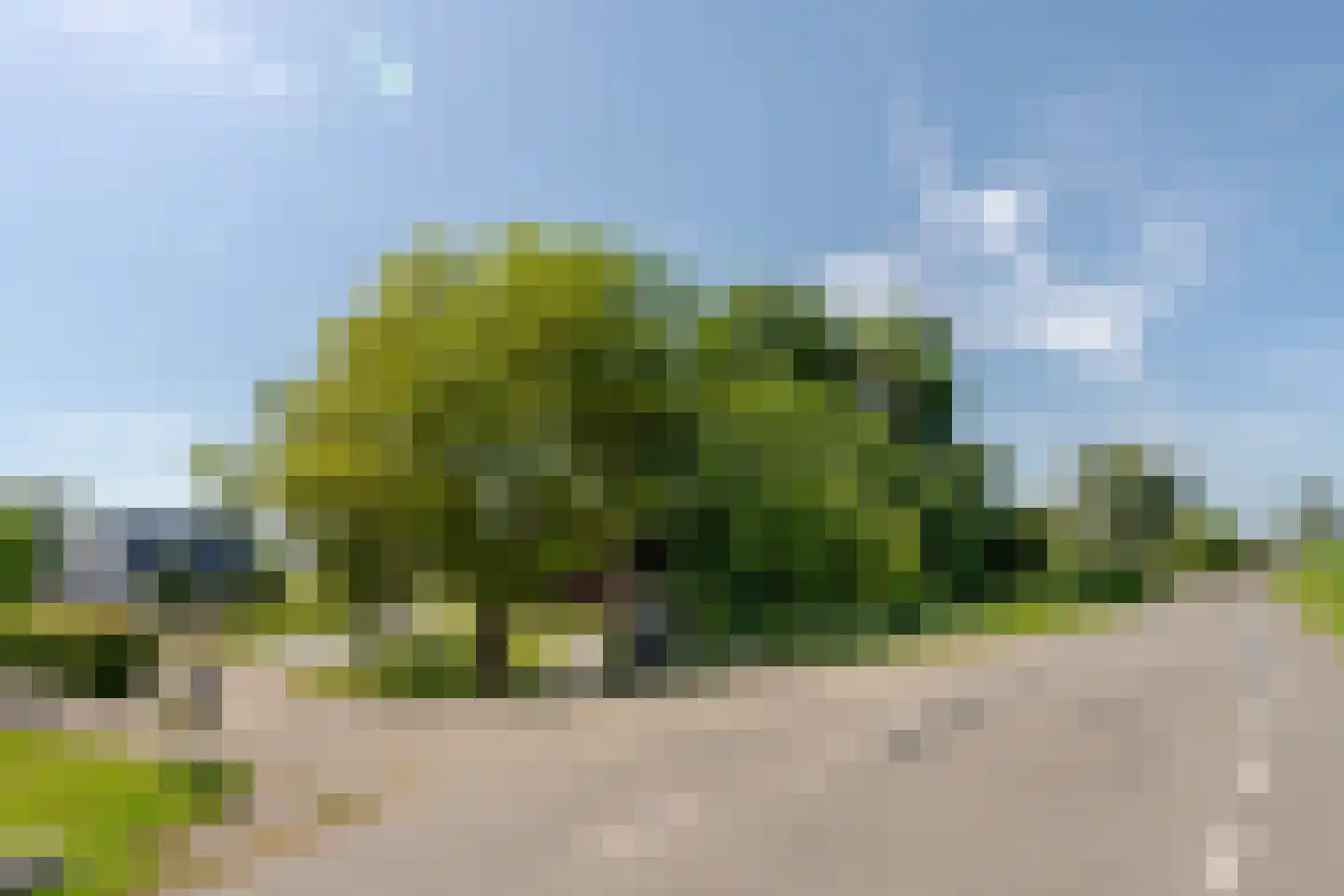 Waver 51 A Ouderkerk aan de Amstel thumbnail 39