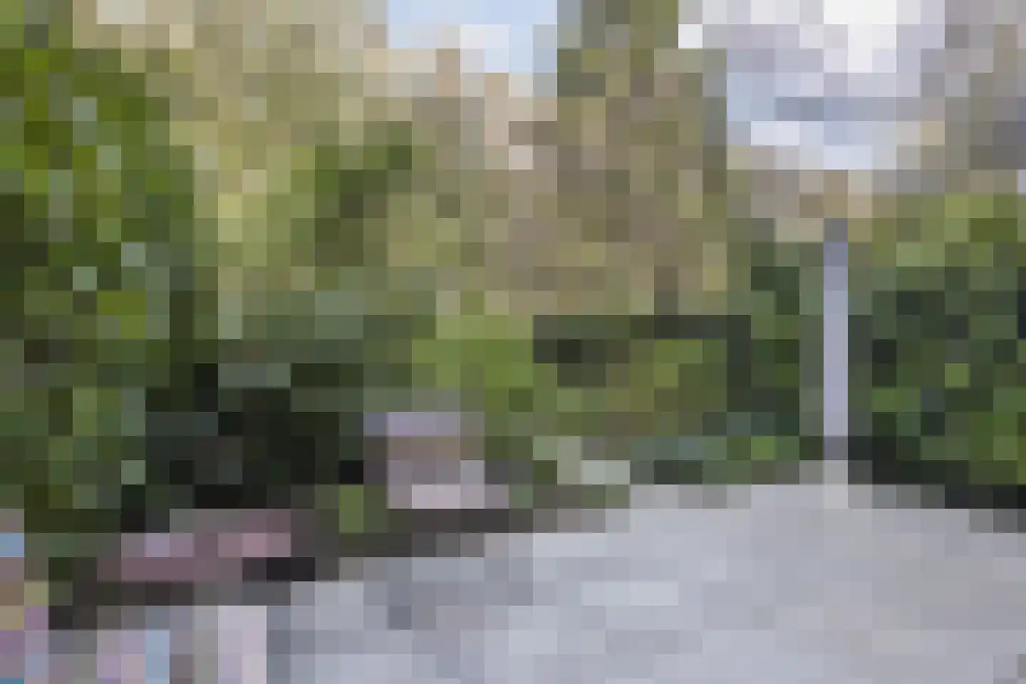 Waverstraat 48 1 Amsterdam thumbnail 32