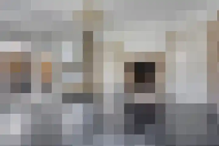 Waverstraat 9 Eindhoven thumbnail 16