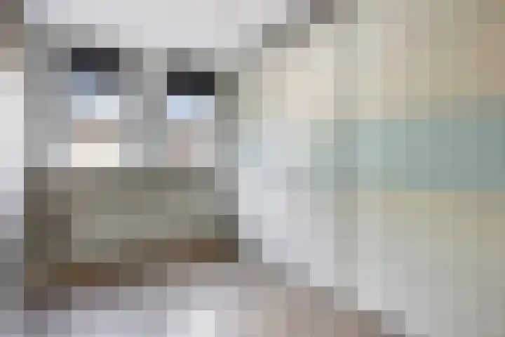 Waverstraat 9 Eindhoven thumbnail 26