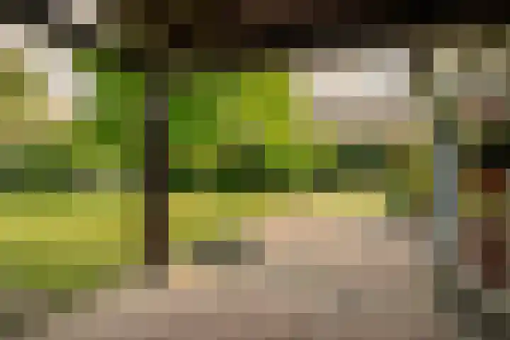 Way Broek 7 Roermond thumbnail 19