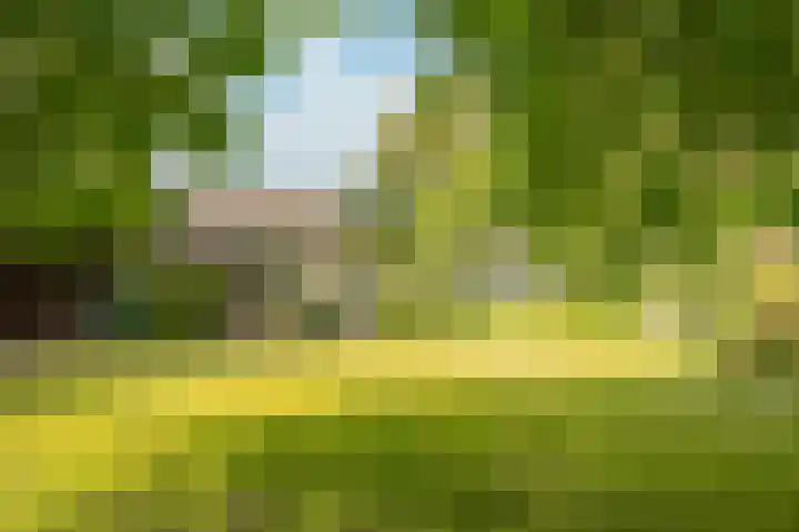 Way Broek 7 Roermond thumbnail 22