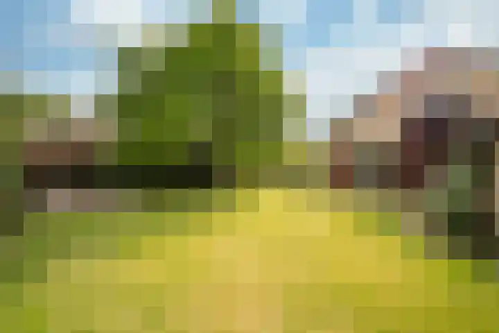 Way Broek 7 Roermond thumbnail 25
