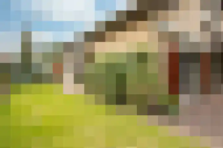 Way Broek 7 Roermond thumbnail 27