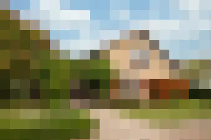 Way Broek 7 Roermond thumbnail 32
