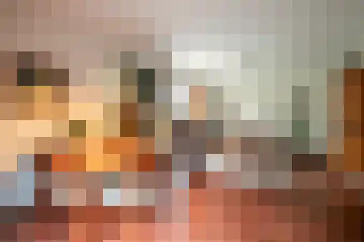 Way Broek 7 Roermond thumbnail 6
