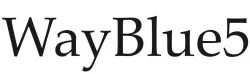 Logo WayBlue5 in Leiden