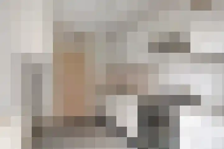 Wayerkamp 12 Zwolle thumbnail 11
