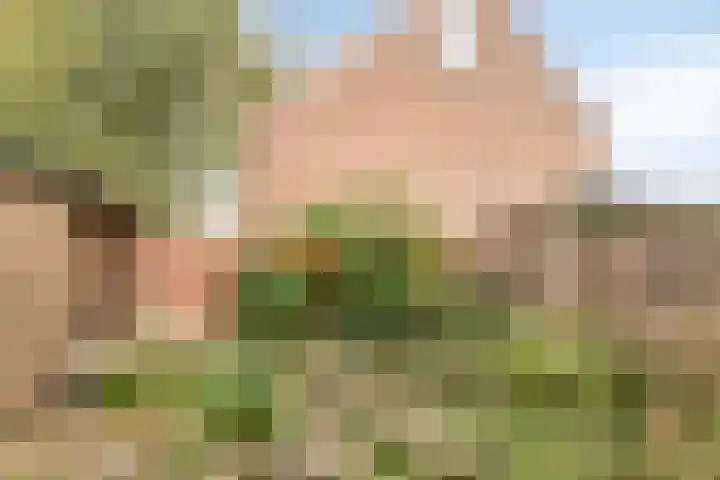 Wayerkamp 12 Zwolle thumbnail 25