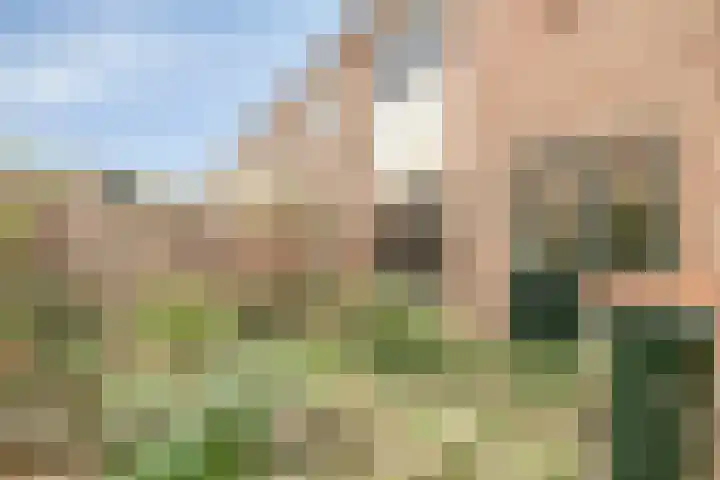 Wayerkamp 12 Zwolle thumbnail 26