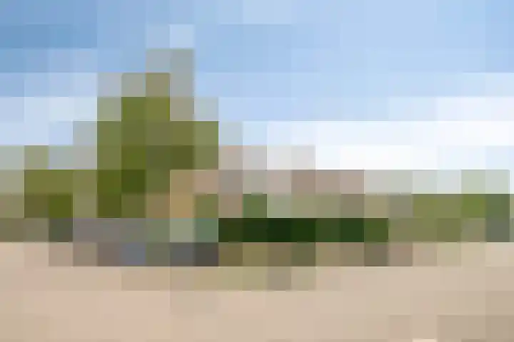 Wayerkamp 12 Zwolle thumbnail 28