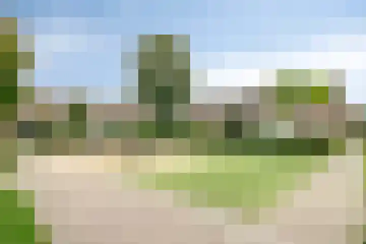 Wayerkamp 12 Zwolle thumbnail 29
