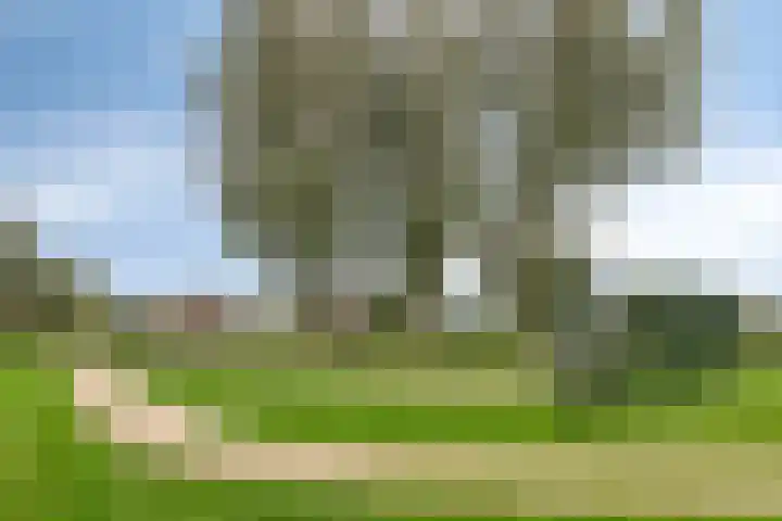 Wayerkamp 12 Zwolle thumbnail 30