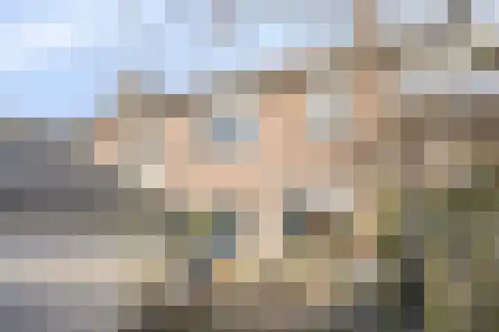 Wayerkamp 17 Zwolle thumbnail 25