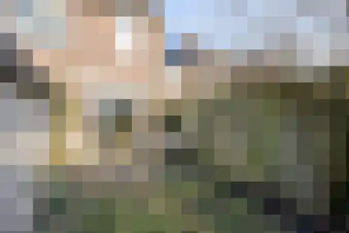 Wayerkamp 17 Zwolle thumbnail 27