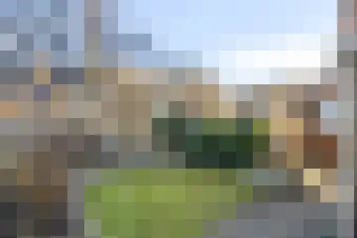 Wayerkamp 17 Zwolle thumbnail 34