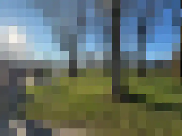 Wayerkamp 17 Zwolle thumbnail 41
