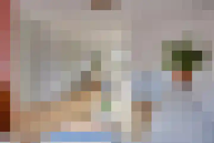 Wayerkamp 17 Zwolle thumbnail 5
