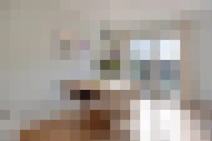 Wayerkamp 17 Zwolle thumbnail 6
