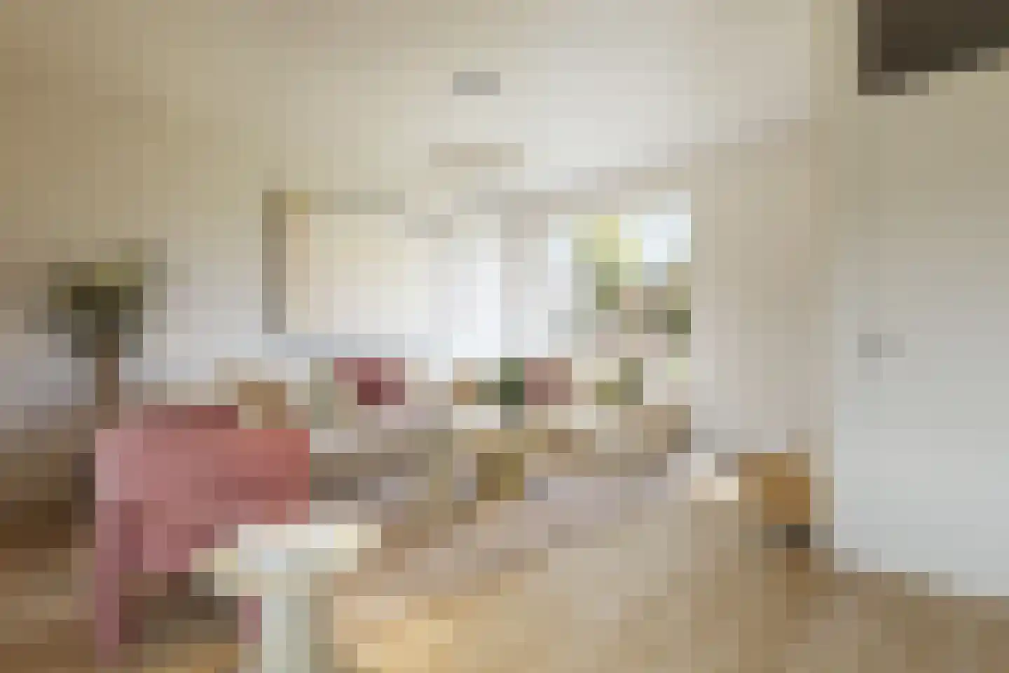 Wayerkamp 27 Zwolle thumbnail 12