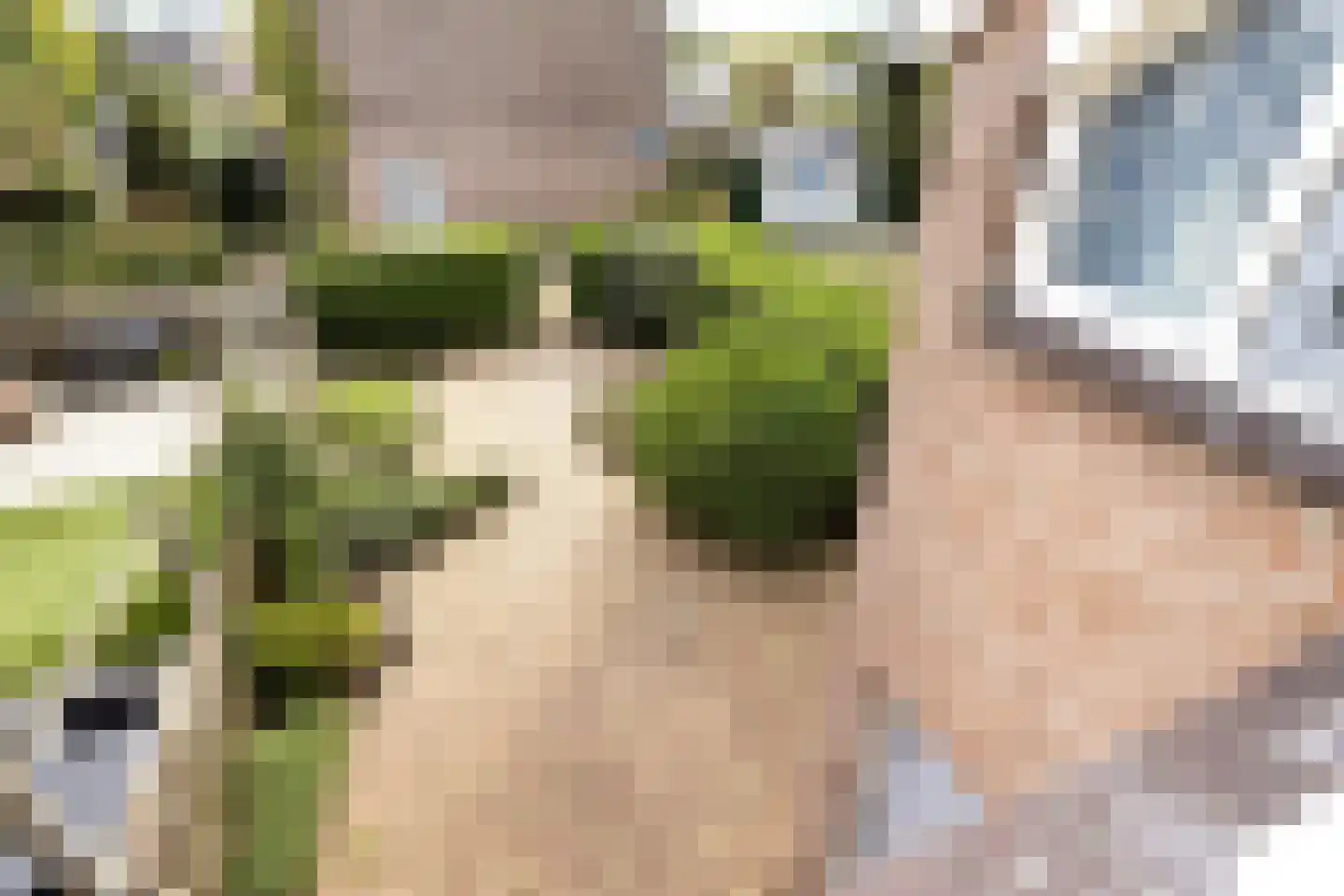 Wayerkamp 27 Zwolle thumbnail 31