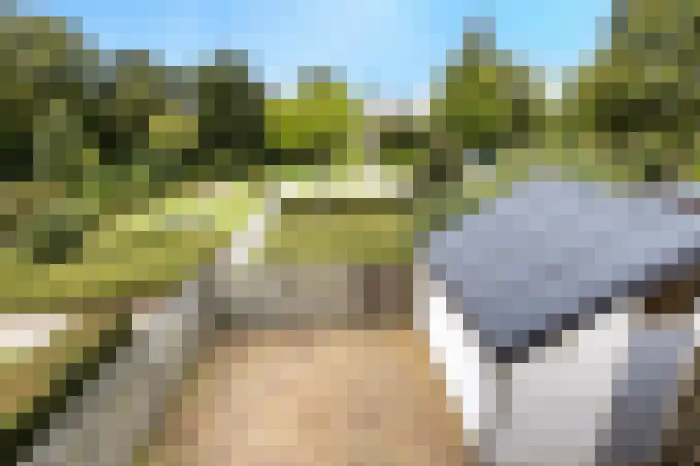 Wayerkamp 27 Zwolle thumbnail 4