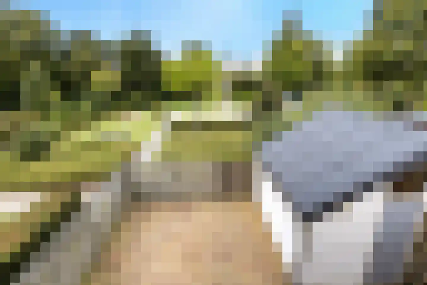 Wayerkamp 27 Zwolle thumbnail 40