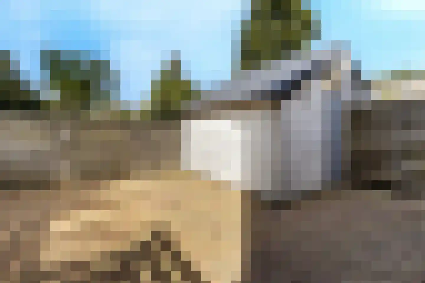 Wayerkamp 27 Zwolle thumbnail 43