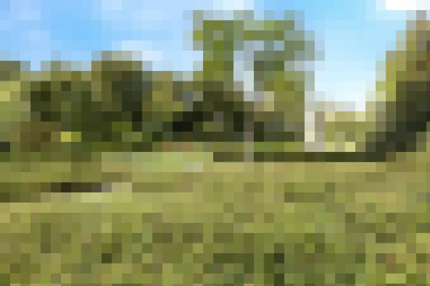 Wayerkamp 27 Zwolle thumbnail 51