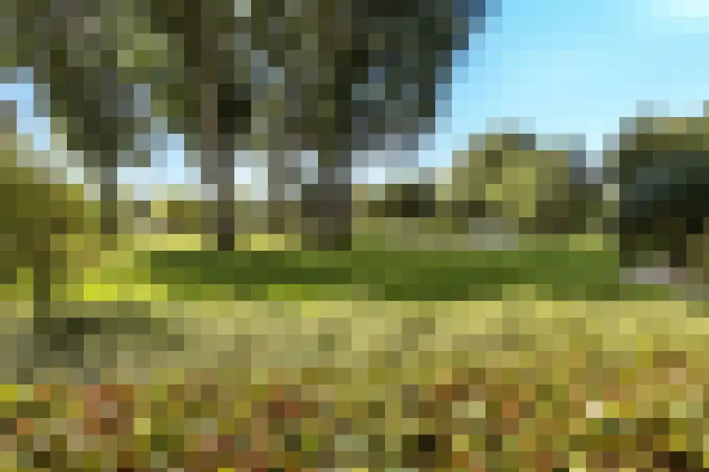 Wayerkamp 27 Zwolle thumbnail 53
