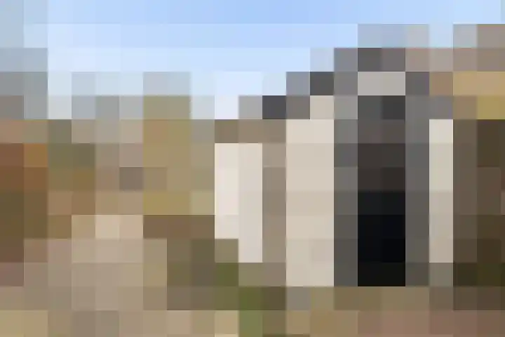 Wayerkamp 35 Zwolle thumbnail 29