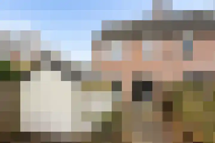 Wayerkamp 35 Zwolle thumbnail 31