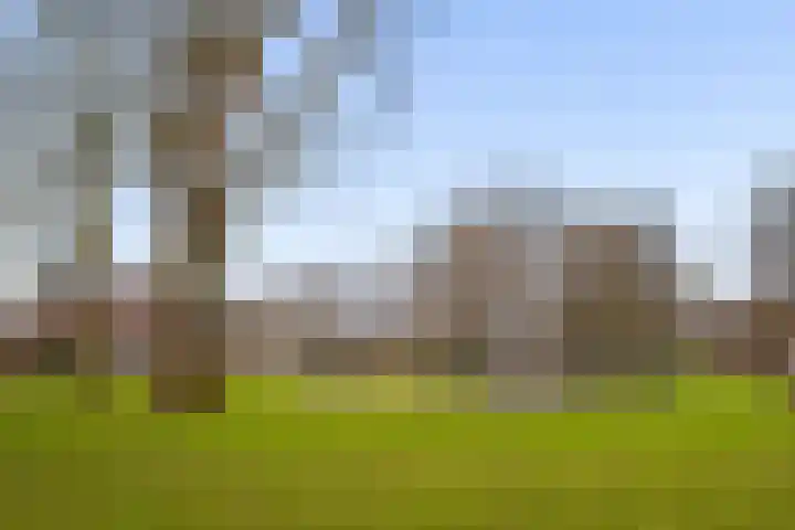 Wayerkamp 35 Zwolle thumbnail 34