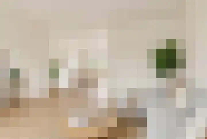 Wayerkamp 35 Zwolle thumbnail 7