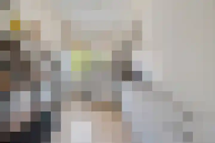 Wayerkamp 71 Zwolle thumbnail 22