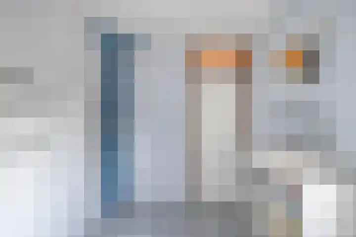 Wayerkamp 71 Zwolle thumbnail 32
