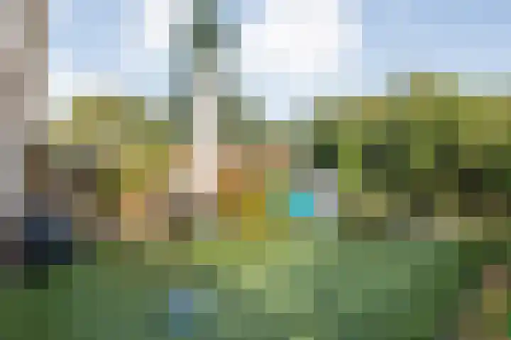 Wayerkamp 71 Zwolle thumbnail 38