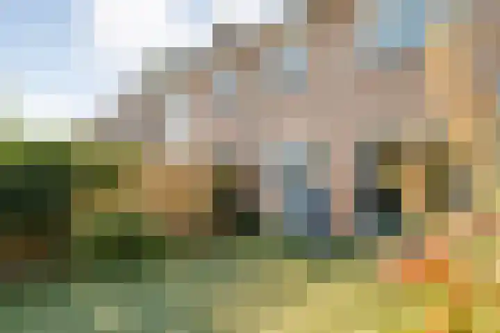 Wayerkamp 71 Zwolle thumbnail 39